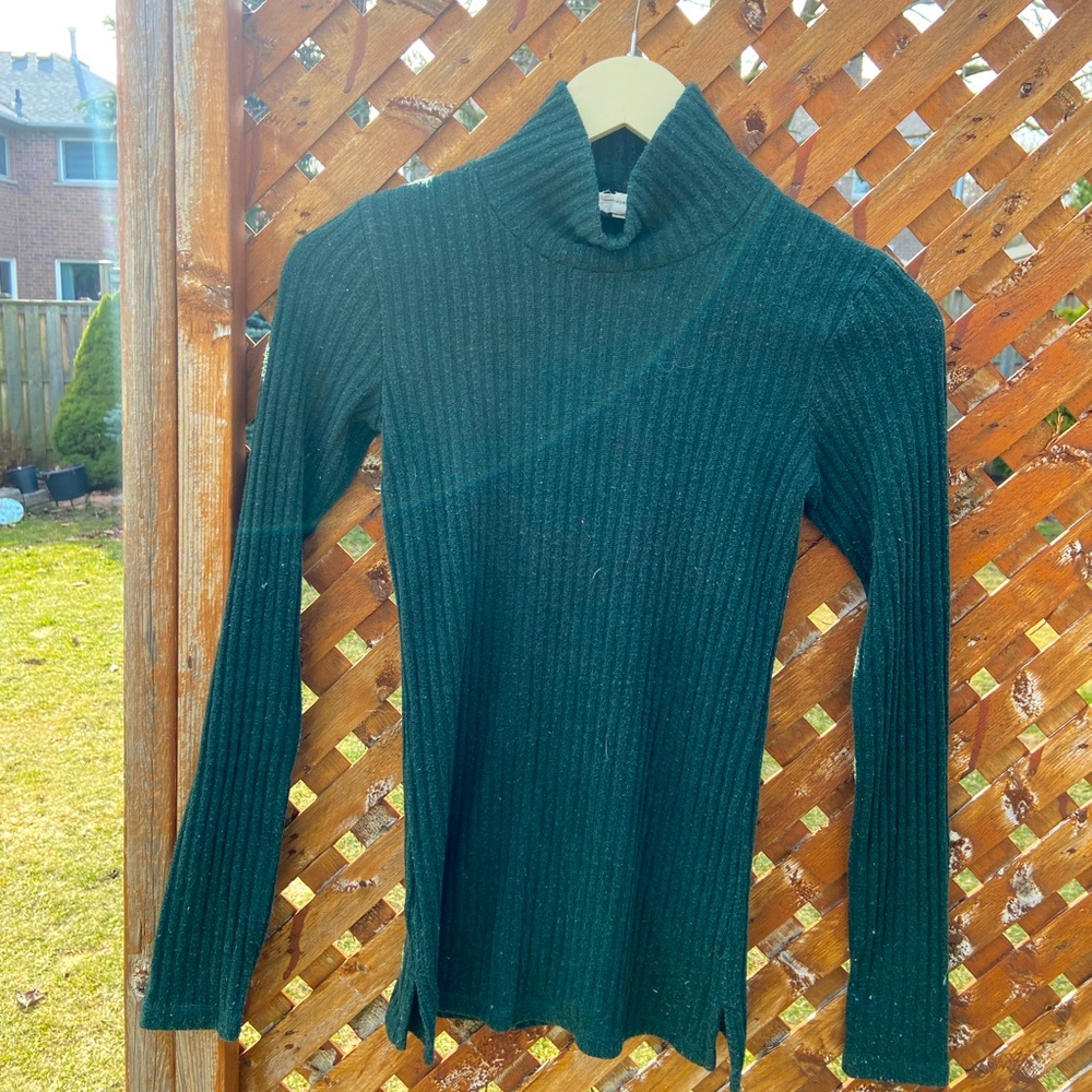 WILDRED Aritzia Forest Green Turtleneck💚🌲